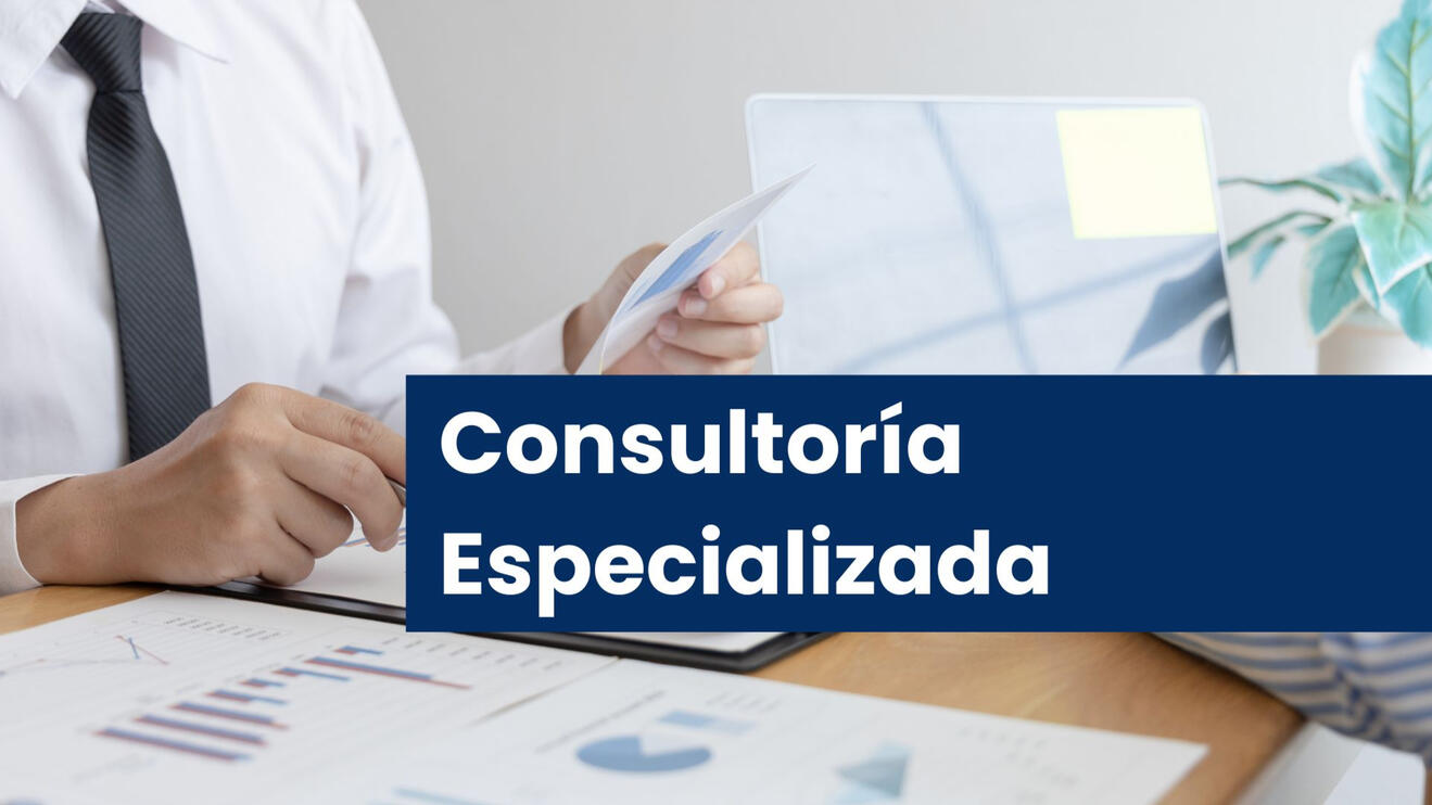 Consultoría Especializada